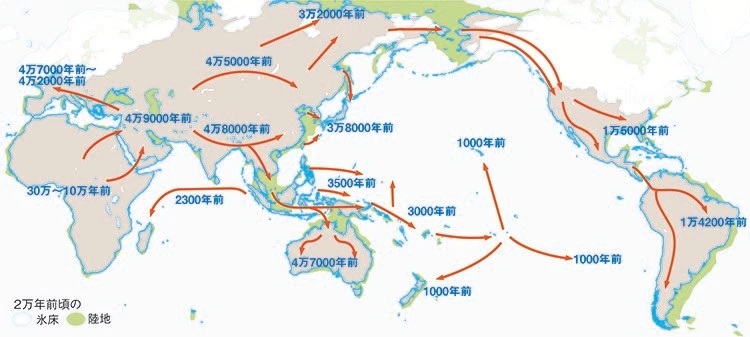 画像の説明